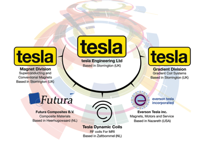 Tesla Engineering Group Organisation Diagram