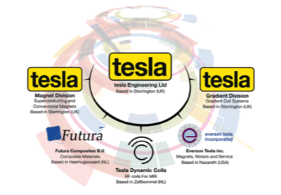 Tesla Engineering Group Organisation Diagram