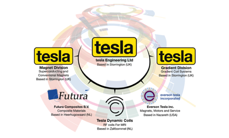 Tesla Engineering Group Organisation Diagram